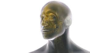 Craniomaxillofacial Implants