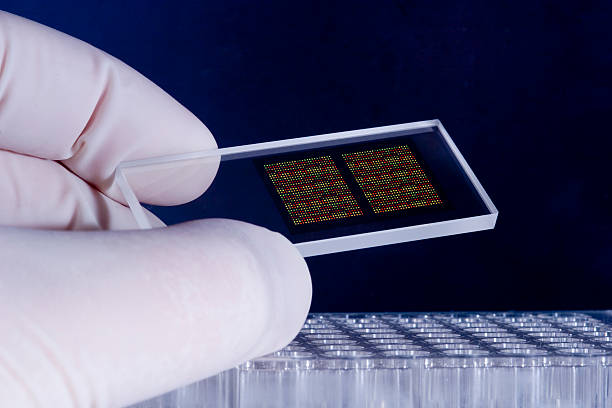 DNA Chip