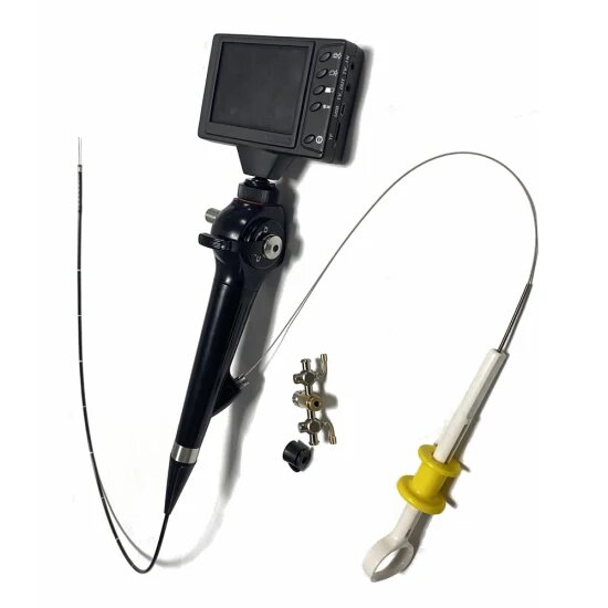 ENT and Bronchoscopy Devices