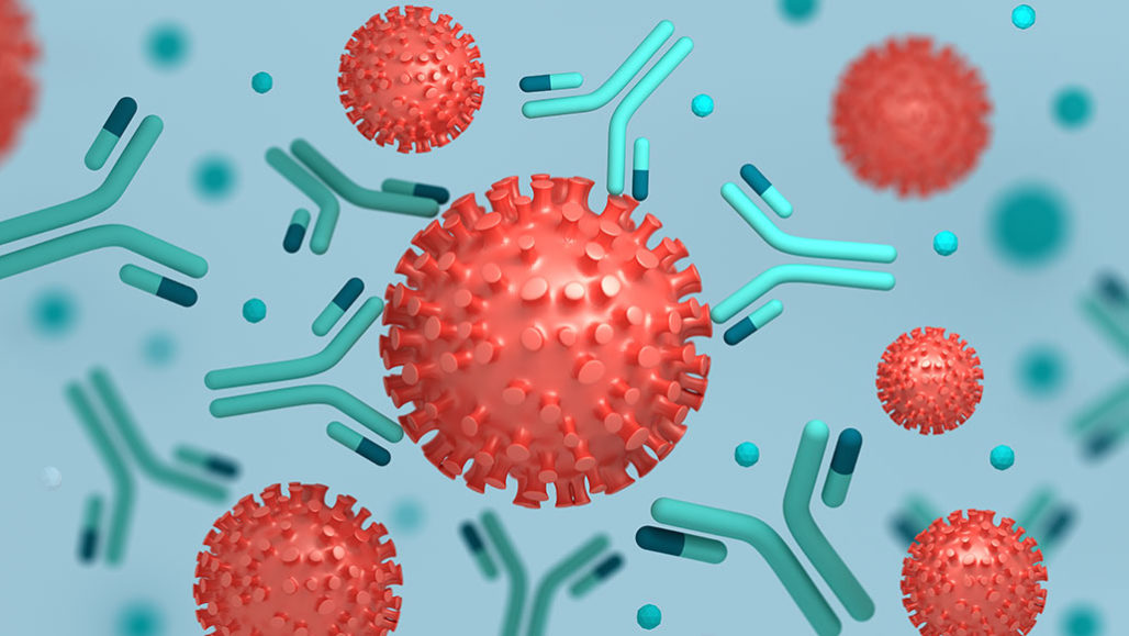 Exosome Marker Antibodies