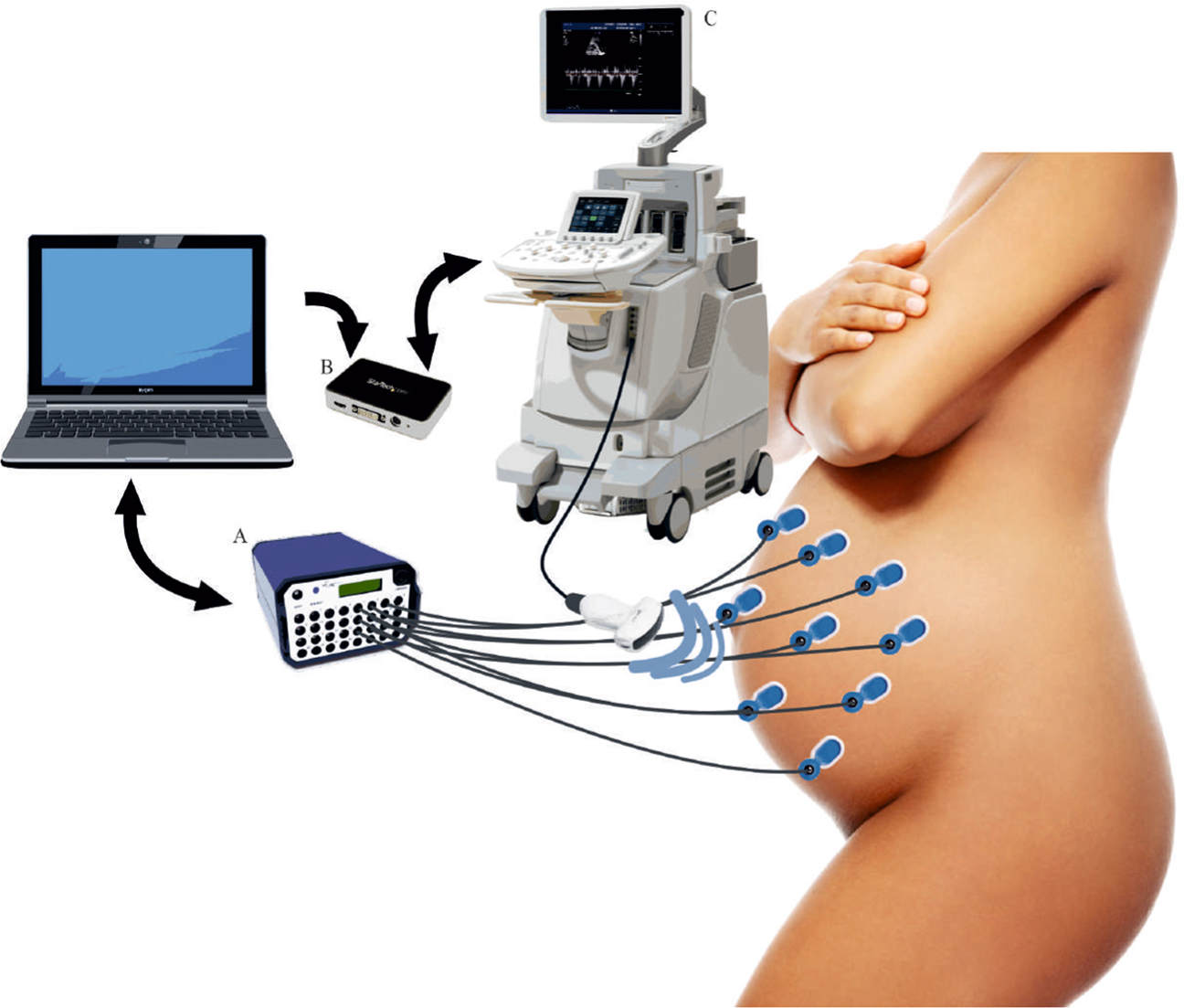 Fetal Electronic Cardiodiagram (FECG) Monitors market