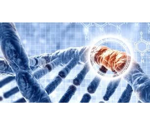 GIST Mutation Detection Kit Market