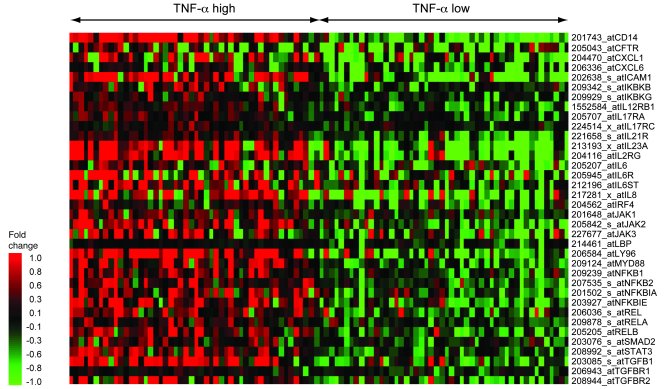 Gene Array Market