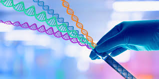 Genotyping market