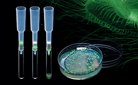 Green Fluorescent Protein (GFP) Assay Kits market