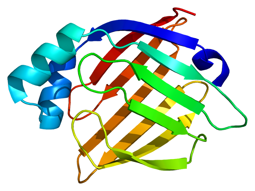 Heart-type Fatty Acid Binding Protein (H-FABP) Determination Kit Market