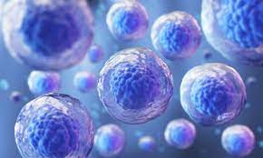 Hematopoietic Stem Cells Transplantation Consumables and Storage market