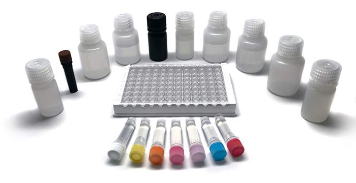 Inhibitor Screening Assay Kit