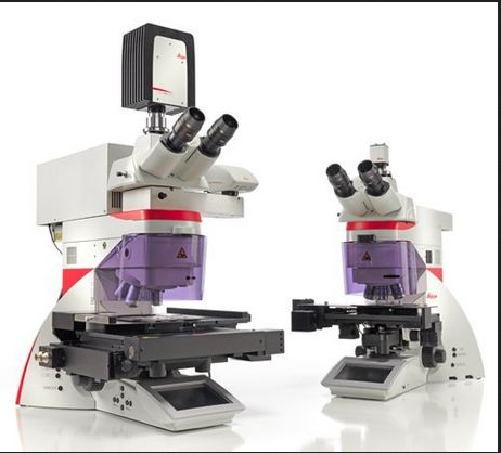 Laser Capture Microdissection