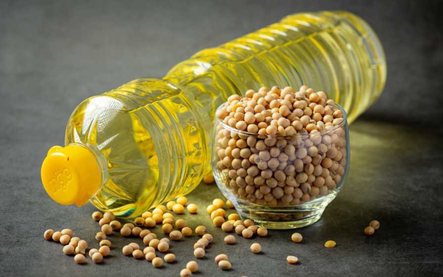 Medical Grade Epoxidized Soybean Oil