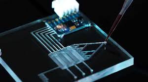 Microfluidics’ as well as Point-of-care (POC) Technology Market