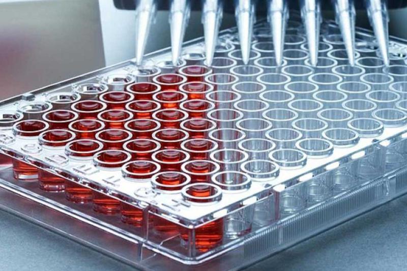 Microplate Systems Market