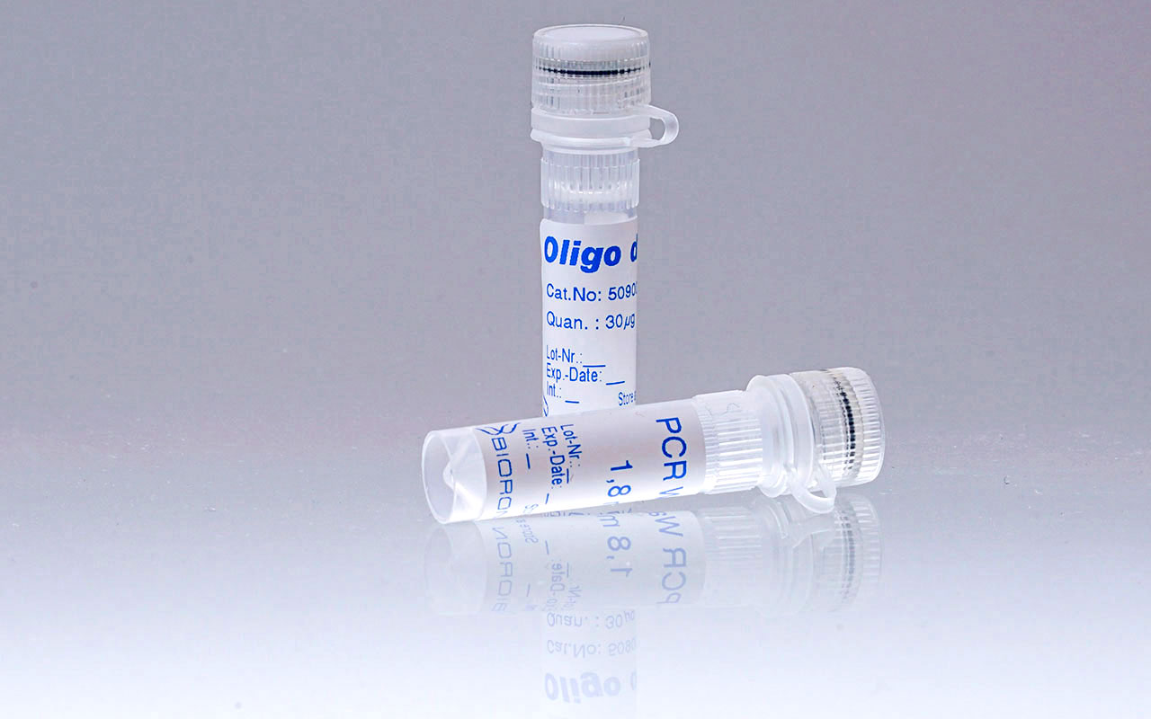 Oligo-dT Primers