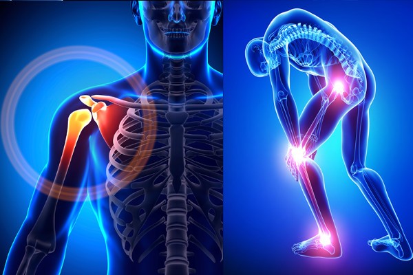 Orthopedic Soft Tissue Repair and Sports Medicine