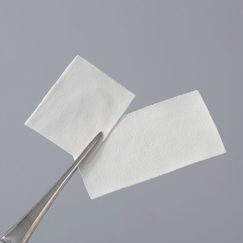 Orthopedic Tissue Matrix