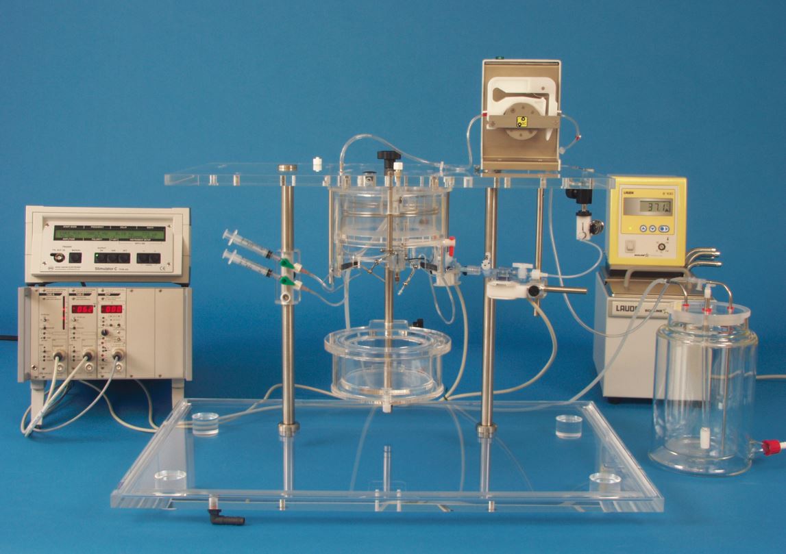 Preclinical Isolated Organ Perfusion System market