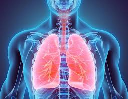 Pulmonary Drug Delivery Systems