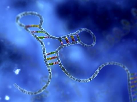 RNA Interference (RNAi) Drug Delivery