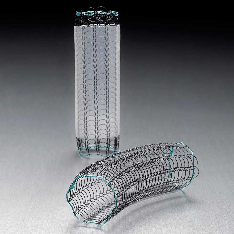 Respiratory System Stents