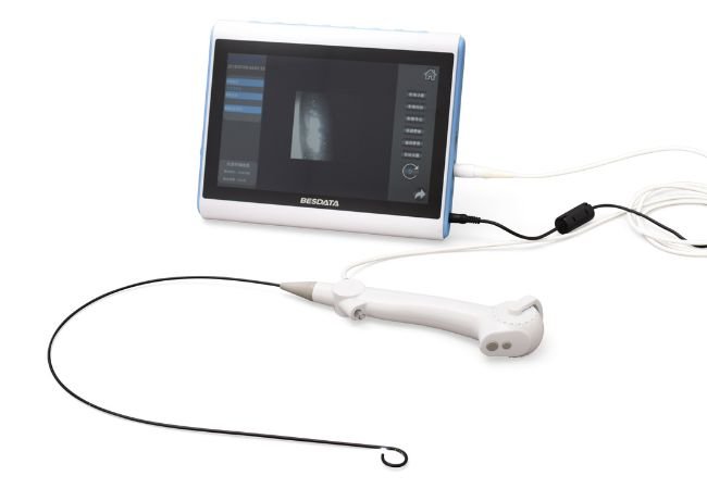 Single-Use Digital Flexible Ureteroscopes market