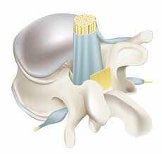 Surgical Anti-Adhesion