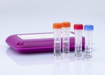 Swine Fever Virus Detection Kit Market