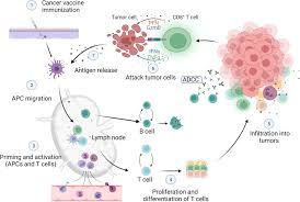 Tumour-cell Vaccine market