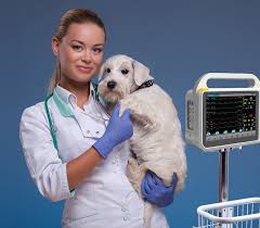 Veterinary Cardiac Monitoring Devices